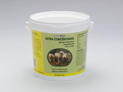 Ultra Concentrate Colostrum for Lambs