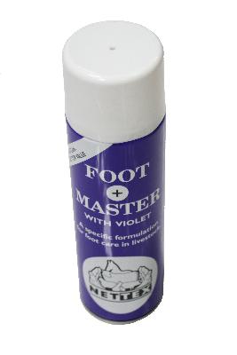 Footmaster with Violet