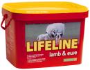 Lifeline Lamb and Ewe Bucket