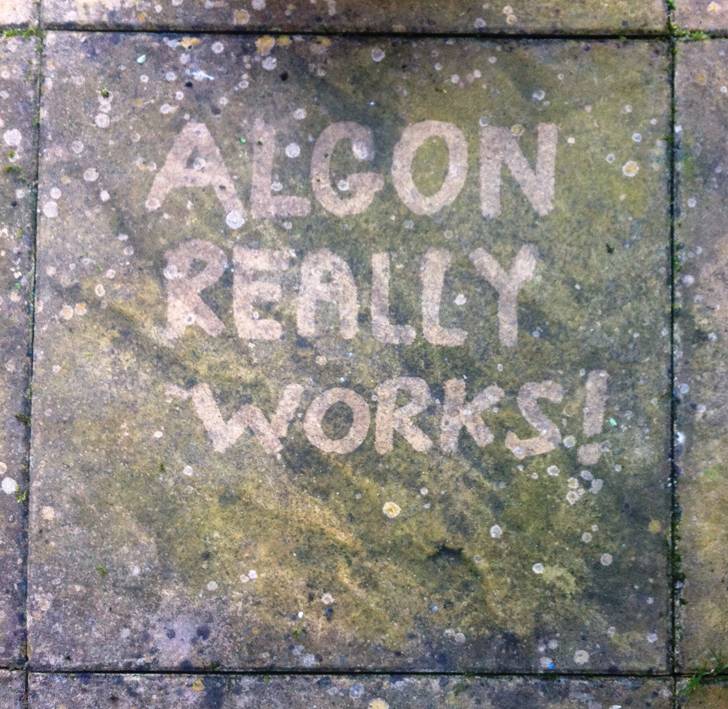 Algon Really Works!