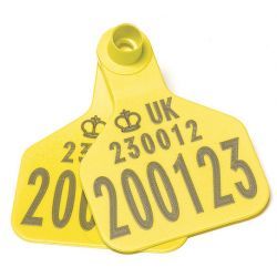 Large Cattle Tag